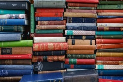 ed-robertson-eeSdJfLfx1A-unsplash-squashed.jpg
